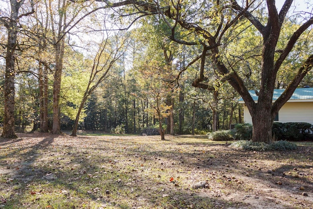 713 Hillsdale Rd, Jasper, AL 35504 - view of yard with a view of trees