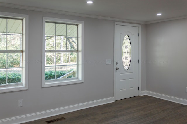 713 Hillsdale Rd, Jasper, AL 35504 - entryway featuring a wealth of natural light, visible vents, baseboards, and dark wood-type flooring