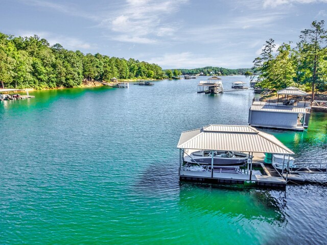397 Blue Water Pointe Dr, Jasper, AL 35504 - dock area with a water view