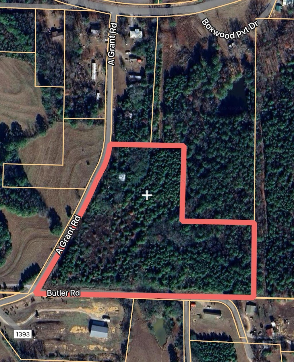0 A Grant Rd, Falkville, AL 35622 - photo 1
