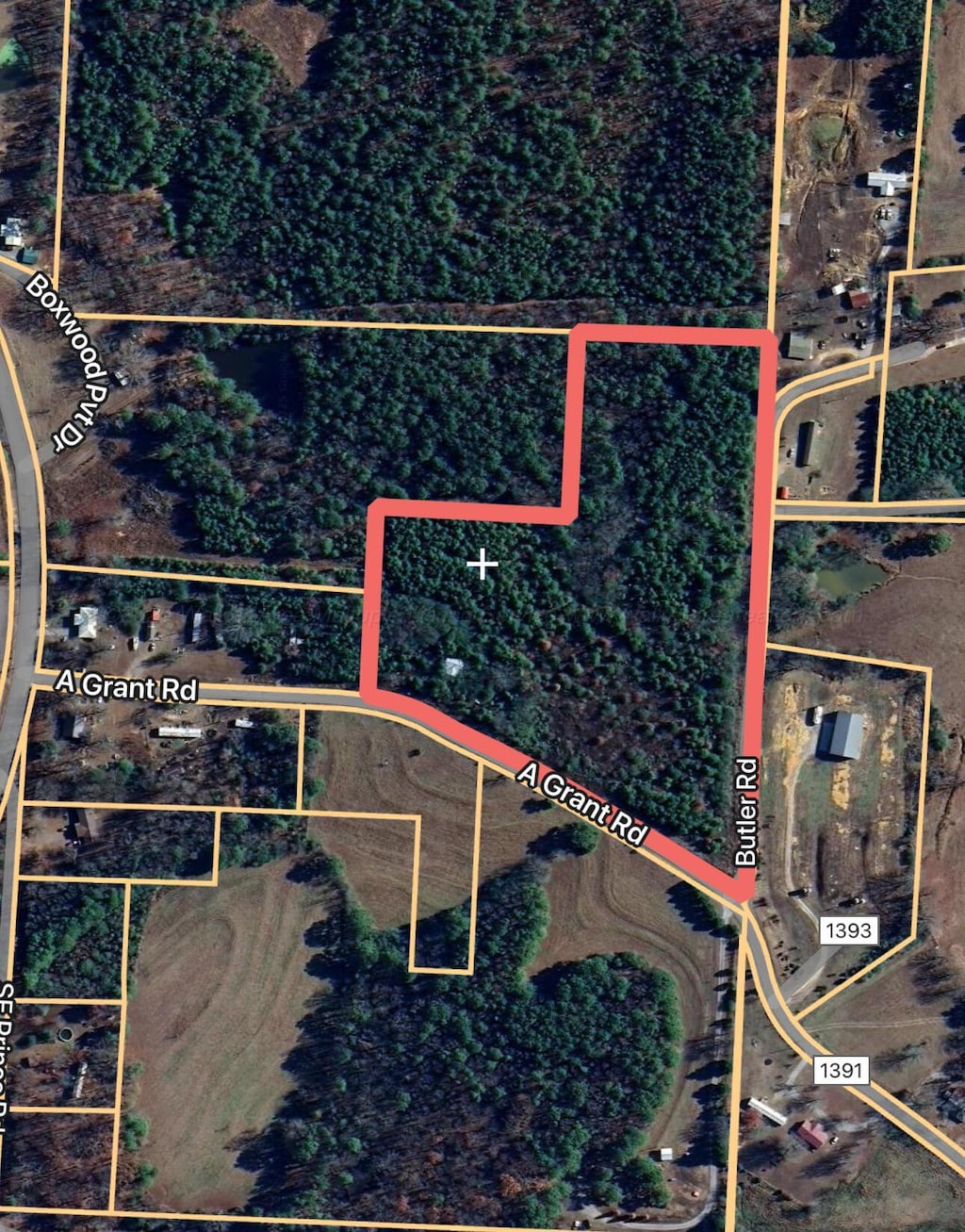 0 A Grant Rd, Falkville, AL 35622 - photo 2