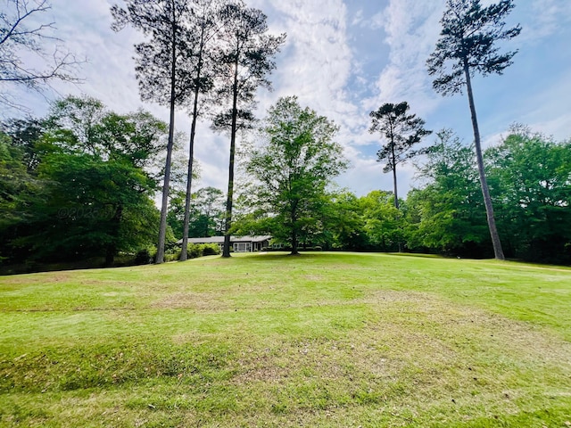 711 NW 4th Ave, Fayette, AL 35555 - photo 21