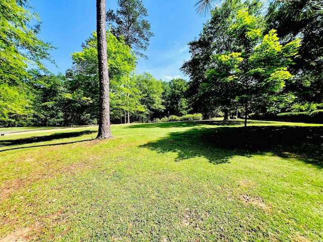 711 NW 4th Ave, Fayette, AL 35555 - photo 20