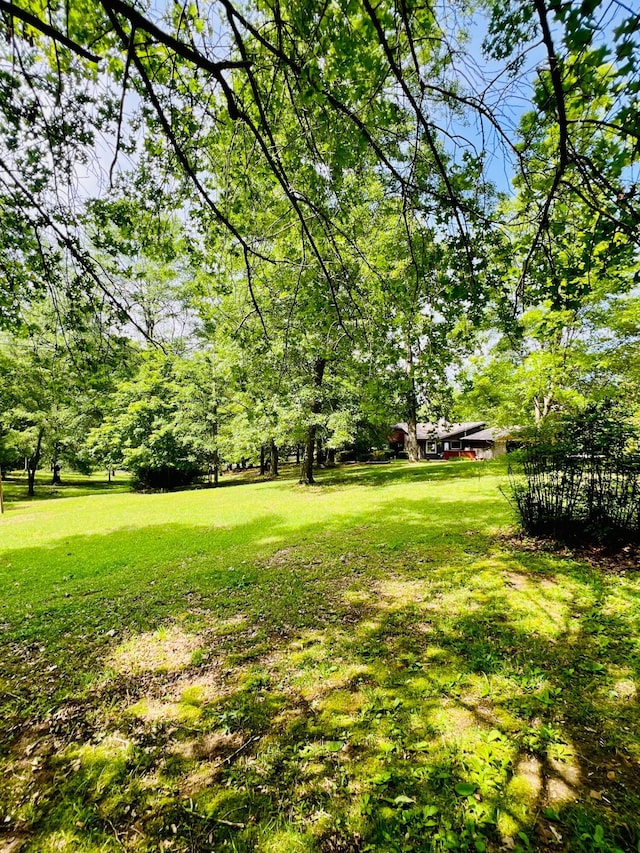 711 NW 4th Ave, Fayette, AL 35555 - photo 10