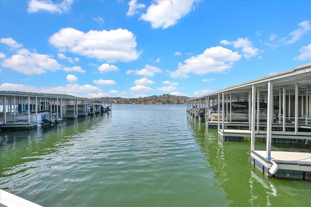 3195 County Road 51, Bremen, AL 35033 - view of dock with a water view and boat lift