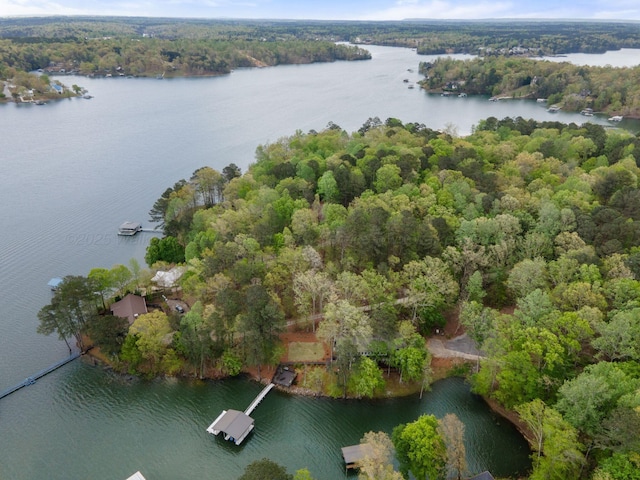 58 Lake Ln, Jasper, AL 35504 - drone / aerial view featuring a water view and a wooded view