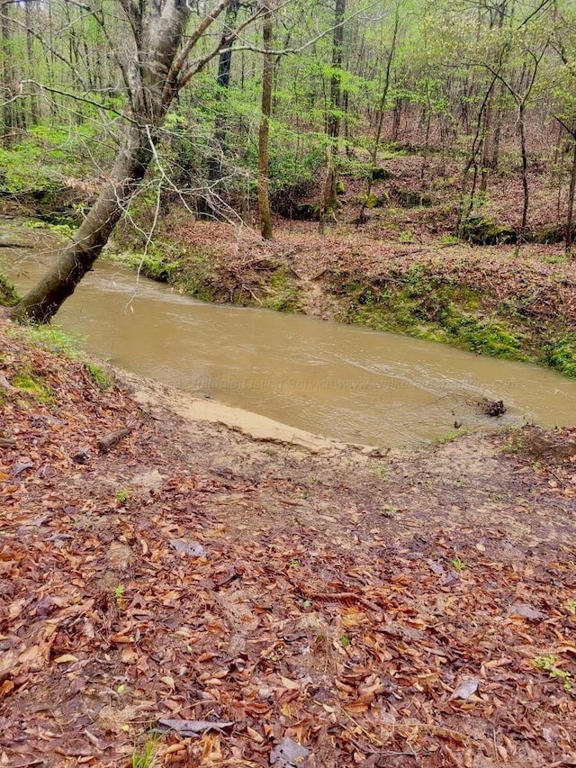 198 Ashley Ln, Arley, AL 35541 - photo 9