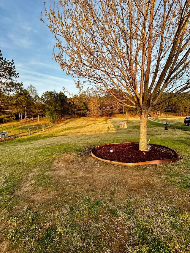 198 Ashley Ln, Arley, AL 35541 - photo 6