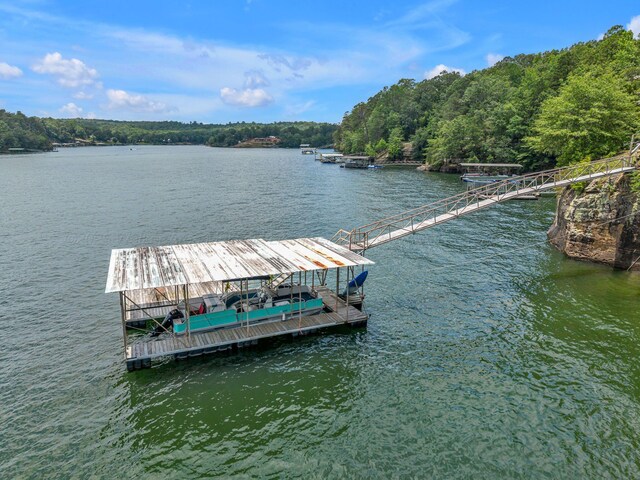 237 County Road 220, Crane Hill, AL 35053 - photo 41