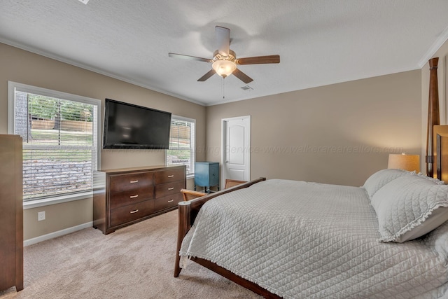 237 County Road 220, Crane Hill, AL 35053 - photo 15