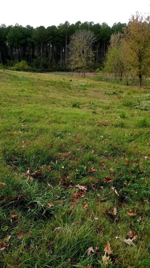 512 Blackwell Dairy Rd, Jasper, AL 35504 - photo 5