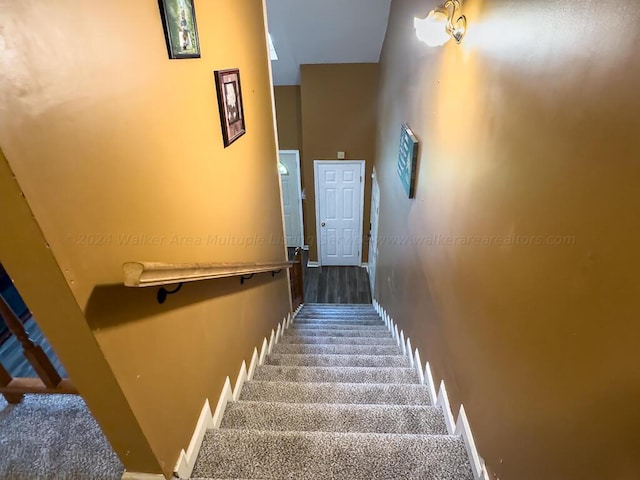 501 Duskin Rd, Jasper, AL 35504 - staircase featuring carpet floors, baseboards, and a towering ceiling