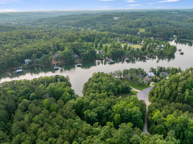 1528 Sipsey Rd, Double Springs, AL 35553 - bird's eye view of a nearby body of water and a heavily wooded area
