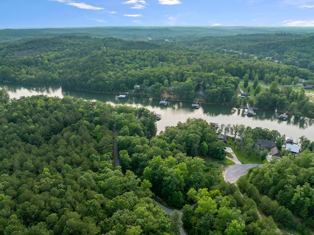 1528 Sipsey Rd, Double Springs, AL 35553 - drone / aerial view of a large body of water