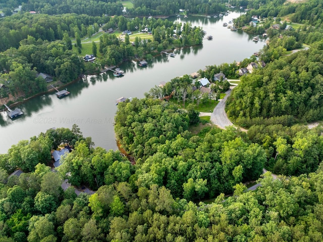 1528 Sipsey Rd, Double Springs, AL 35553 - drone / aerial view of a nearby body of water and a forest