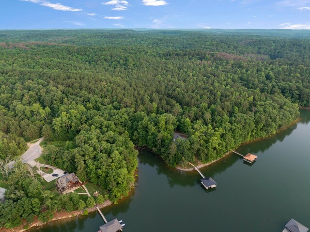 1528 Sipsey Rd, Double Springs, AL 35553 - aerial overview of property's location featuring a forest and a large body of water