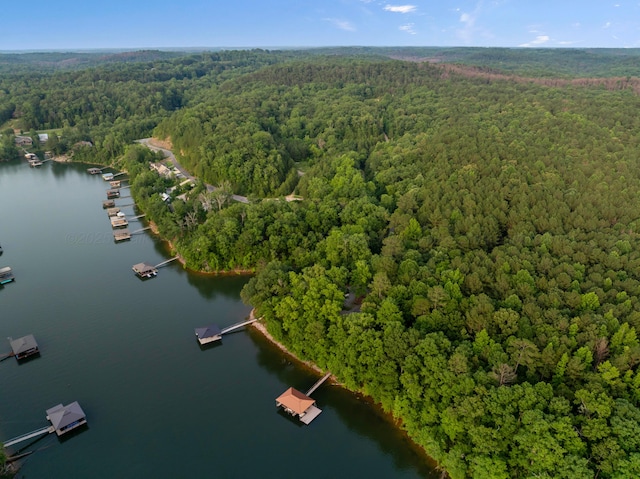1528 Sipsey Rd, Double Springs, AL 35553 - drone / aerial view of a heavily wooded area and a nearby body of water
