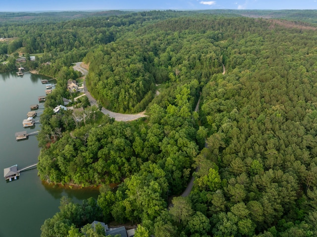 1528 Sipsey Rd, Double Springs, AL 35553 - aerial view of property's location featuring a heavily wooded area and a large body of water