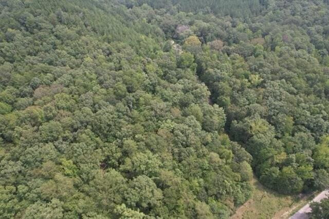 Turtle Hole Rd, Townley, AL 35587 - photo 4