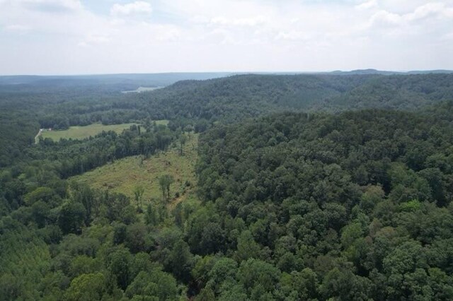Turtle Hole Rd, Townley, AL 35587 - photo 2