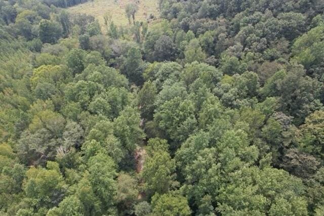 Turtle Hole Rd, Townley, AL 35587 - photo 7