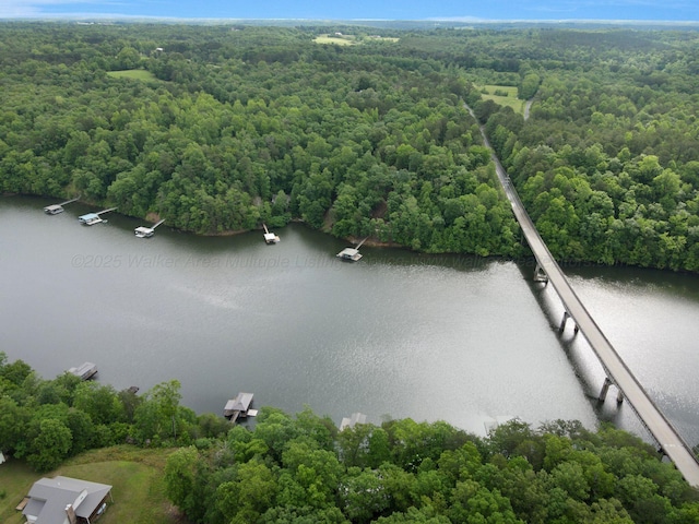 24 County Road 3902, Arley, AL 35541 - photo 29