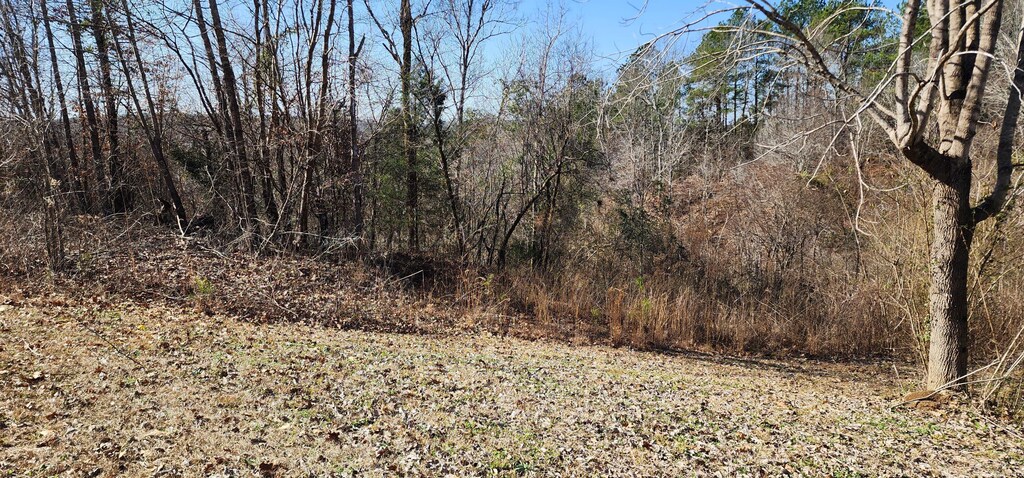 Rivers Edge Trl, Cordova, AL 35550
