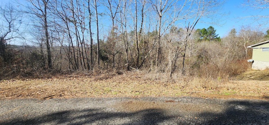 Rivers Edge Trl, Cordova, AL 35550