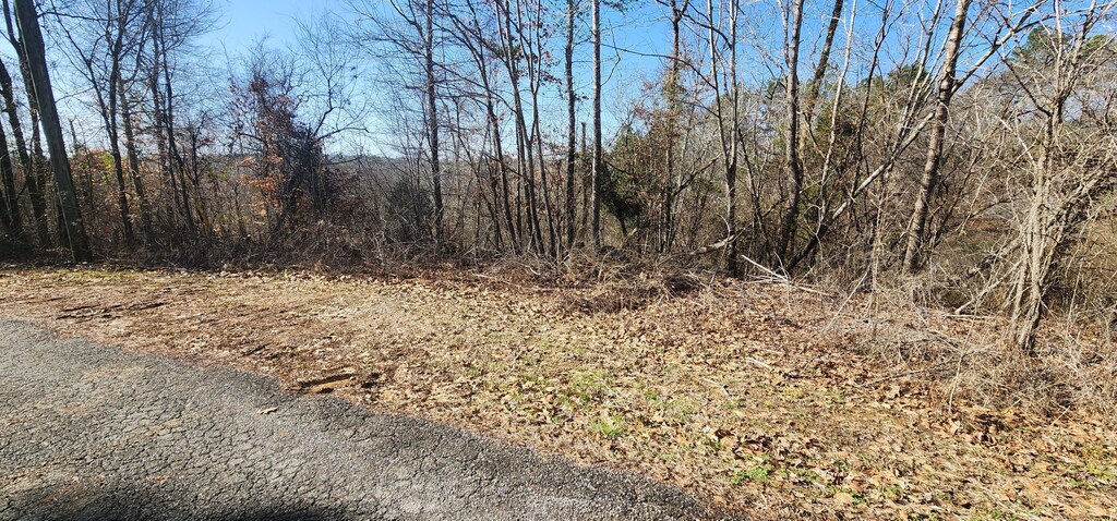 Rivers Edge Trl, Cordova, AL 35550