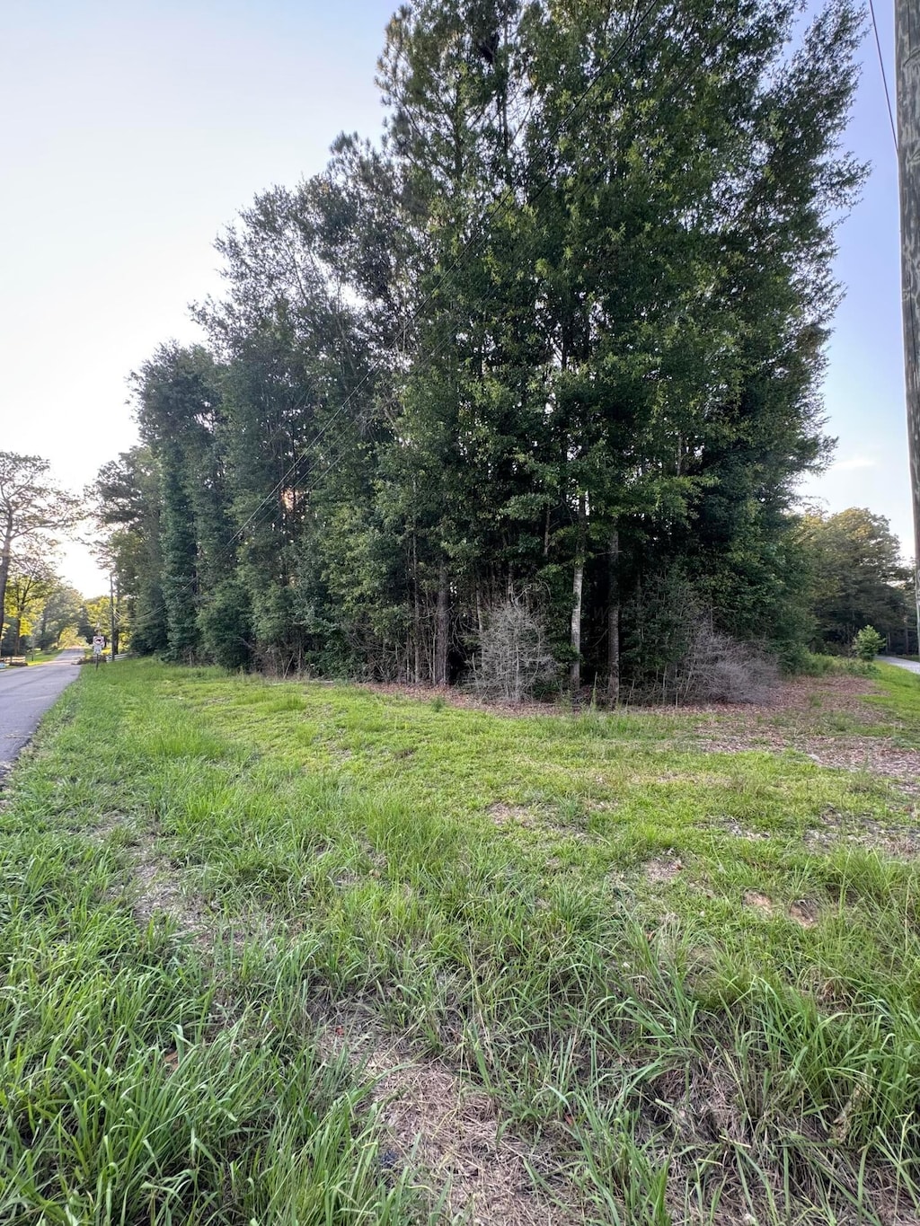 NW 18th Ave, Jasper, AL 35503 - photo 2