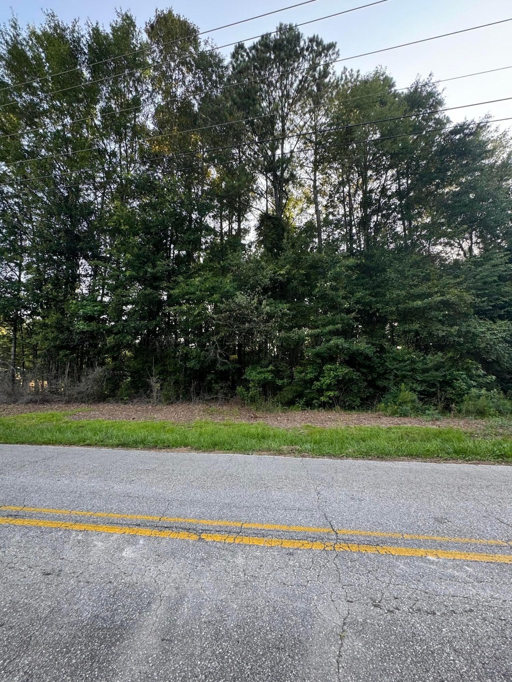NW 18th Ave, Jasper, AL 35503 - photo 3