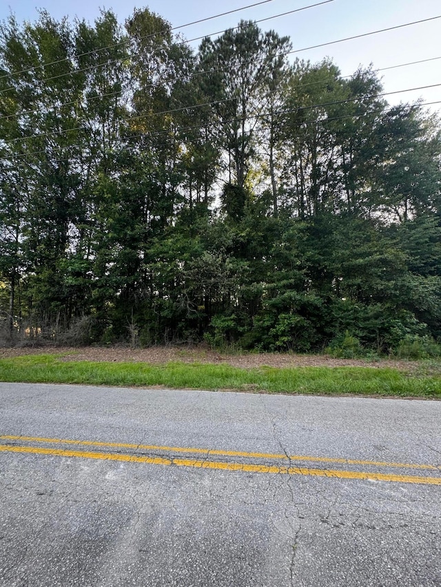 NW 18th Ave, Jasper, AL 35503 - photo 3