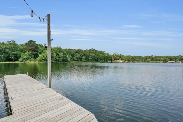 344 Gillespie Rd, Jasper, AL 35503 - photo 38
