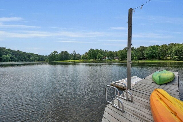 344 Gillespie Rd, Jasper, AL 35503 - photo 40