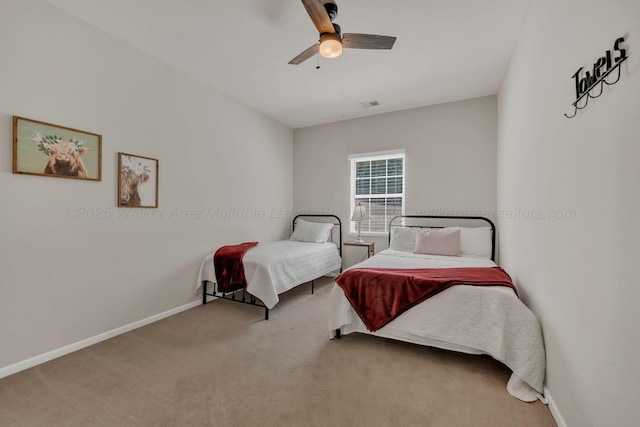 344 Gillespie Rd, Jasper, AL 35503 - photo 27