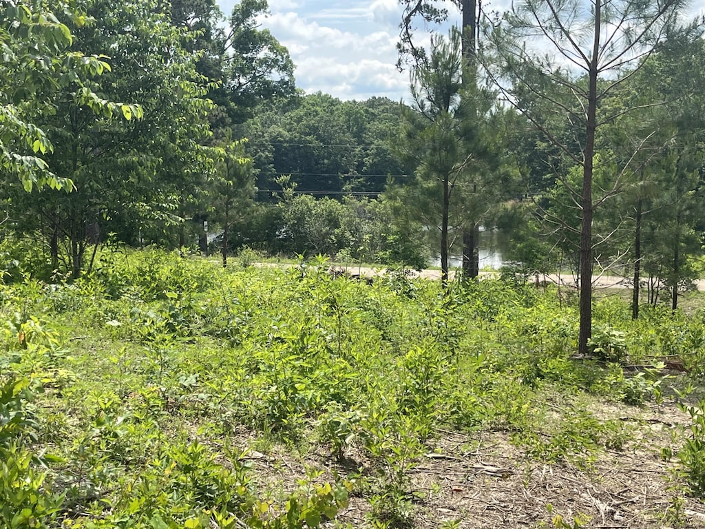 Ripley Rd, Carbon Hill, AL 35549 - photo 1