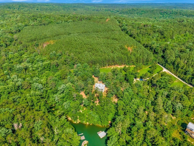 252 Camp Corinth Trl, Double Springs, AL 35553 - photo 38
