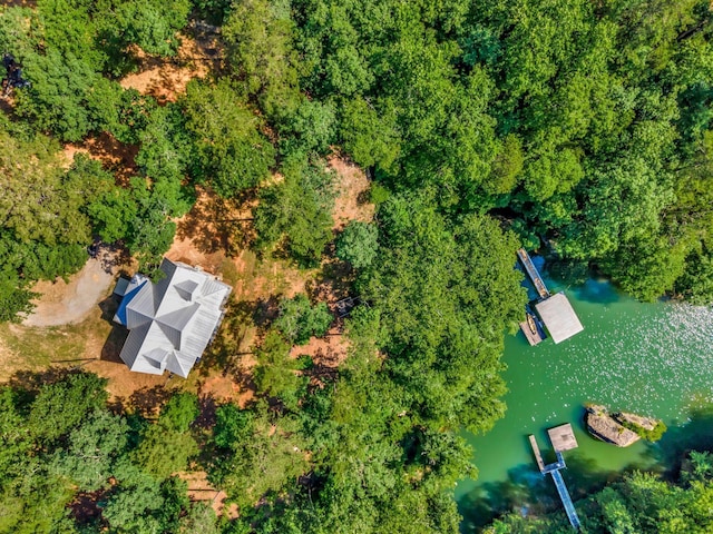252 Camp Corinth Trl, Double Springs, AL 35553 - photo 33