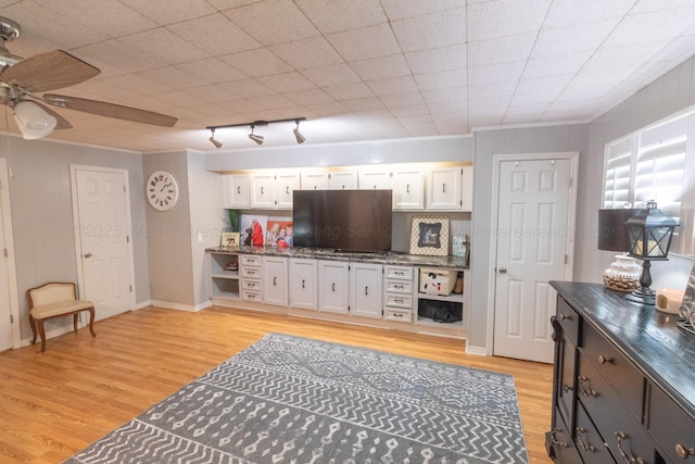 1602 27th St, Haleyville, AL 35565 - living area with light wood-style flooring, crown molding, ceiling fan, and track lighting