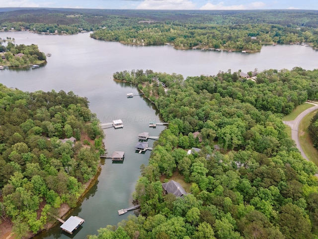 1617 S Stoney Rd, Double Springs, AL 35553 - aerial view of a large body of water and a heavily wooded area