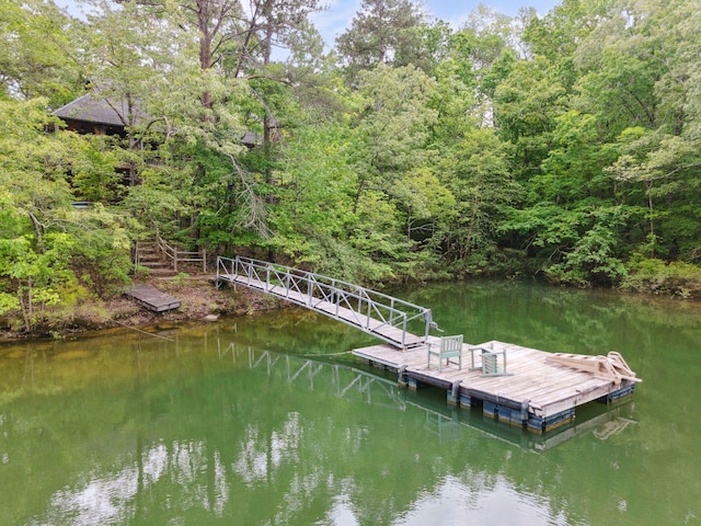 1617 S Stoney Rd, Double Springs, AL 35553 - dock with a water view