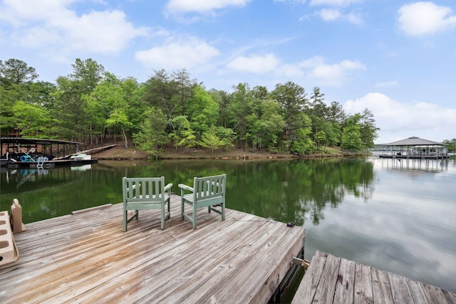 1617 S Stoney Rd, Double Springs, AL 35553 - dock with a water view