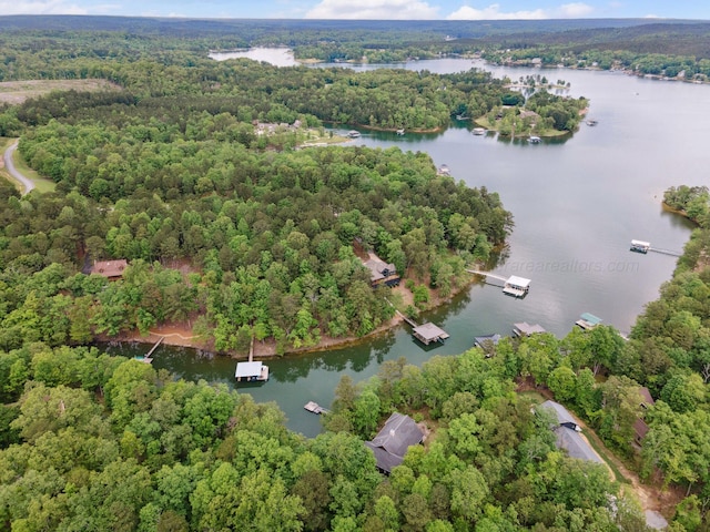 1617 S Stoney Rd, Double Springs, AL 35553 - aerial view of a nearby body of water and a heavily wooded area