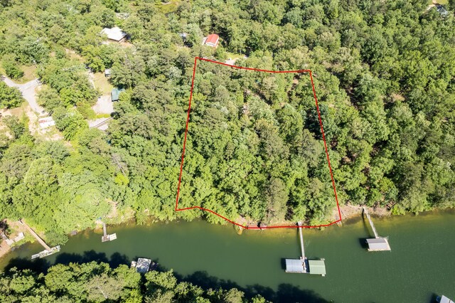 50 County Road 3146, Houston, AL 35572 - photo 7