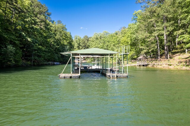 50 County Road 3146, Houston, AL 35572 - photo 26