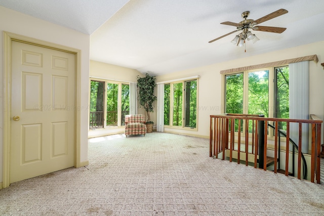 50 County Road 3146, Houston, AL 35572 - photo 12