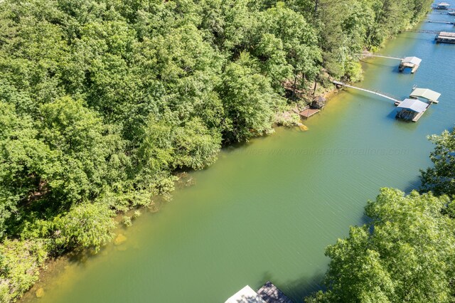 50 County Road 3146, Houston, AL 35572 - photo 28