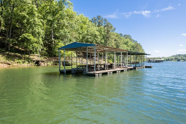 50 County Road 3146, Houston, AL 35572 - photo 25