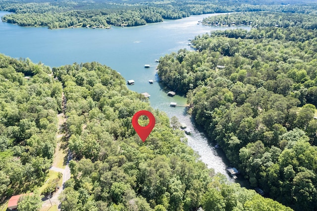50 County Road 3146, Houston, AL 35572 - photo 2