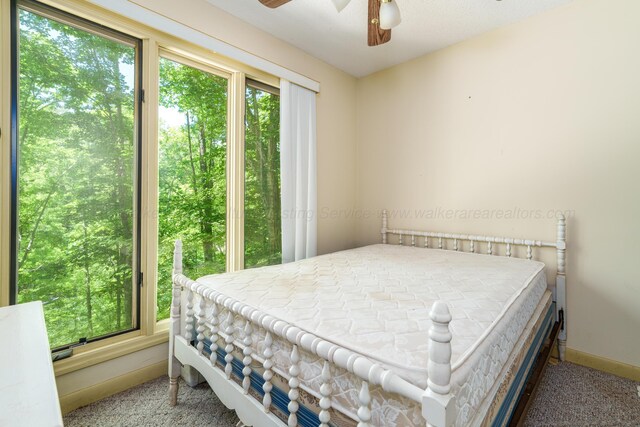 50 County Road 3146, Houston, AL 35572 - photo 15